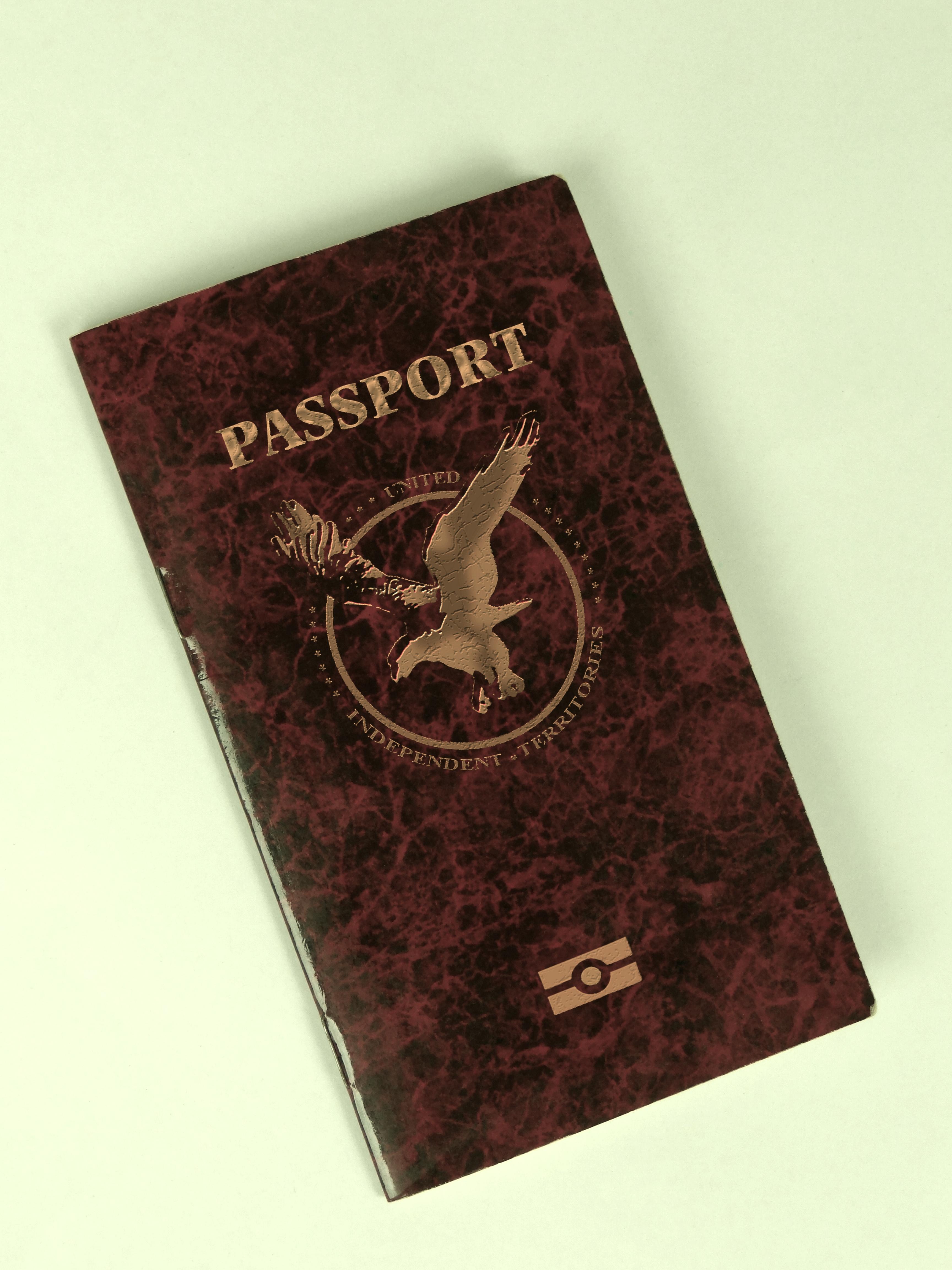 Passport Crisis Expected in 2016