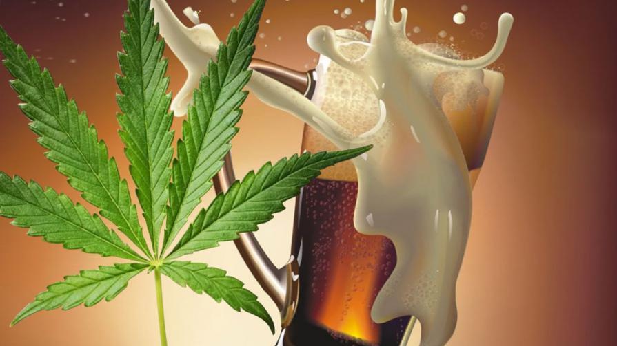 Tilray and Budweiser partner to research Cannabis drinks