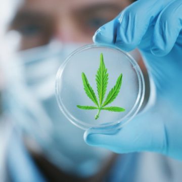 Alabama Lawmakers Approve Medical Marijuana Bill